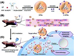 Graphical abstract: Low intensity focused ultrasound (LIFU) triggered drug release from cetuximab-conjugated phase-changeable nanoparticles for precision theranostics against anaplastic thyroid carcinoma