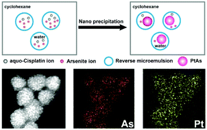 Graphical abstract: Facile synthesis of aquo-cisplatin arsenite multidrug nanocomposites for overcoming drug resistance and efficient combination therapy