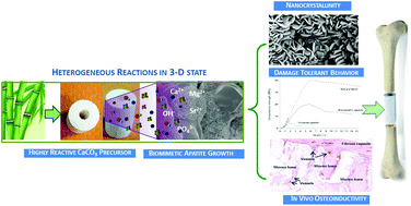 Graphical abstract: Heterogeneous chemistry in the 3-D state: an original approach to generate bioactive, mechanically-competent bone scaffolds