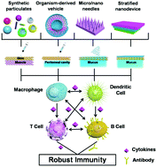 Graphical abstract: Up-to-date vaccine delivery systems: robust immunity elicited by multifarious nanomaterials upon administration through diverse routes