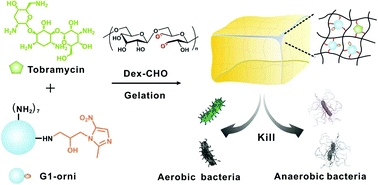 Graphical abstract: A pH-responsive hydrogel with potent antibacterial activity against both aerobic and anaerobic pathogens