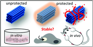 Graphical abstract: Engineering a stable future for DNA-origami as a biomaterial