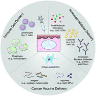 Graphical abstract: Surgery-free injectable macroscale biomaterials for local cancer immunotherapy