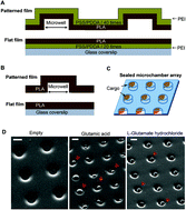 Graphical abstract: Polymer microchamber arrays for geometry-controlled drug release: a functional study in human cells of neuronal phenotype