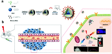 Graphical abstract: IR780-based light-responsive nanocomplexes combining phase transition for enhancing multimodal imaging-guided photothermal therapy