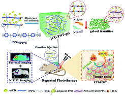 Graphical abstract: A near infrared-modulated thermosensitive hydrogel for stabilization of indocyanine green and combinatorial anticancer phototherapy