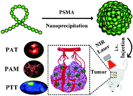 Graphical abstract: Engineering biocompatible benzodithiophene-based polymer dots with tunable absorptions as high-efficiency theranostic agents for multiscale photoacoustic imaging-guided photothermal therapy