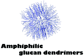 Graphical abstract: Synthesis and function of amphiphilic glucan dendrimers as nanocarriers for protein delivery