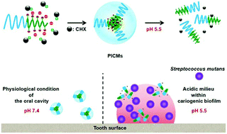 Graphical abstract: pH-Responsive polymeric nanocarriers for efficient killing of cariogenic bacteria in biofilms