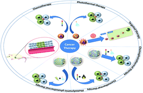 Graphical abstract: A polydopamine-based platform for anti-cancer drug delivery