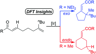 Graphical abstract: Mechanism and origins of the directing group-controlled endo- versus exo-selectivity of iridium-catalysed intramolecular hydroalkenylation of 1,1-disubstituted alkenes