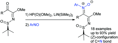 Graphical abstract: Construction of α-methoxyimidoyl ketonitrones via phosphite-mediated addition of α-keto N-tert-butanesulfinyl imidates to nitrosoarenes