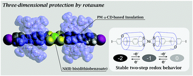 Graphical abstract: Kinetic stabilization of a Ni(ii) bis(dithiobenzoate)-type complex achieved using three-dimensional insulation by a [1]rotaxane structure
