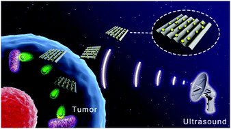 Graphical abstract: Two dimensional semiconductors for ultrasound-mediated cancer therapy: the case of black phosphorus nanosheets