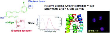 Graphical abstract: A high-affinity subtype-selective fluorescent probe for estrogen receptor β imaging in living cells