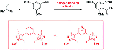 Graphical abstract: The role of charge in 1,2,3-triazol(ium)-based halogen bonding activators