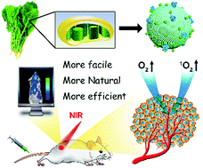 Graphical abstract: Biomimetic nanothylakoids for efficient imaging-guided photodynamic therapy for cancer