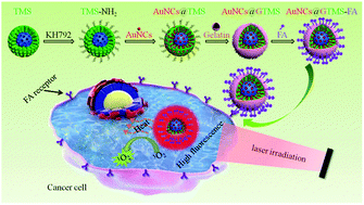 Graphical abstract: Improved fluorescence imaging and synergistic anticancer phototherapy of hydrosoluble gold nanoclusters assisted by a novel two-level mesoporous canal structured silica nanocarrier