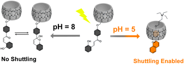 Graphical abstract: pH-Gated photoresponsive shuttling in a water-soluble pseudorotaxane