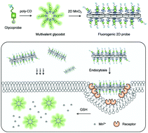 Graphical abstract: Supramolecular glyco-poly-cyclodextrin functionalized thin-layer manganese dioxide for targeted stimulus-responsive bioimaging