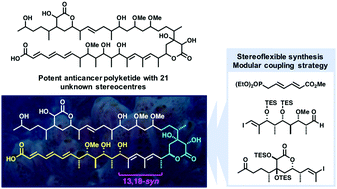 Graphical abstract: A synthesis-enabled relative stereochemical assignment of the C1–C28 region of hemicalide
