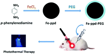 Graphical abstract: Facile preparation of ion-doped poly(p-phenylenediamine) nanoparticles for photothermal therapy