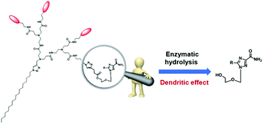 Graphical abstract: Negative dendritic effect on enzymatic hydrolysis of dendrimer conjugates