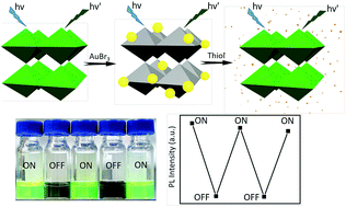 Graphical abstract: Reversible modulation of CsPbBr3 perovskite nanocrystal/gold nanoparticle heterostructures