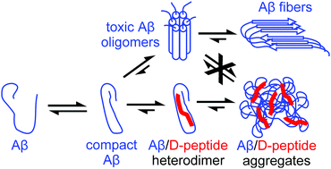 Graphical abstract: Inhibition of amyloid Aβ aggregation by high pressures or specific d-enantiomeric peptides