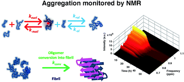 Graphical abstract: Aggregation kinetics of the Aβ1–40 peptide monitored by NMR