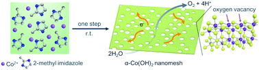 Graphical abstract: One-step synthesis of ultrathin α-Co(OH)2 nanomeshes and their high electrocatalytic activity toward the oxygen evolution reaction