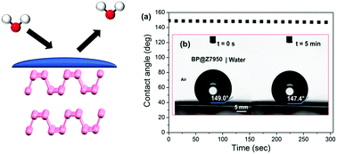 Graphical abstract: Black phosphorus with near-superhydrophobic properties and long-term stability in aqueous media