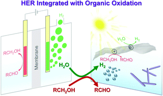 Graphical abstract: Electrocatalytic and photocatalytic hydrogen evolution integrated with organic oxidation