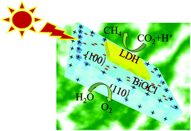 Graphical abstract: Unique homo–heterojunction synergistic system consisting of stacked BiOCl nanoplate/Zn–Cr layered double hydroxide nanosheets promoting photocatalytic conversion of CO2 into solar fuels