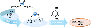 Graphical abstract: Silica-supported isolated molybdenum di-oxo species: formation and activation with organosilicon agent for olefin metathesis