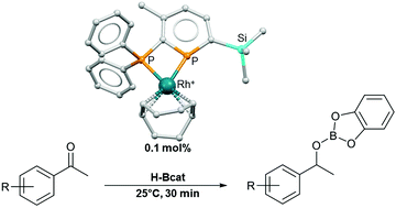 Graphical abstract: Small bite-angle 2-phosphinophosphinine ligands enable rhodium-catalysed hydroboration of carbonyls