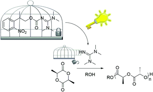 Graphical abstract: Photoinduced ring-opening polymerisation of l-lactide via a photocaged superbase