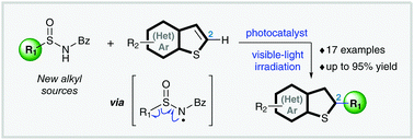 Graphical abstract: Regiospecific alkyl addition of (hetero)arene-fused thiophenes enabled by a visible-light-mediated photocatalytic desulfuration approach