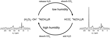 Graphical abstract: Humidity-swing mechanism for CO2 capture from ambient air