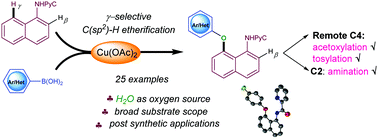 Graphical abstract: Copper-mediated regioselective C–H etherification of naphthylamides with arylboronic acids using water as an oxygen source