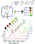 Graphical abstract: Supramolecular solvatochromism: mechanistic insight from crystallography, spectroscopy and theory