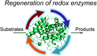 Graphical abstract: Nonconventional regeneration of redox enzymes – a practical approach for organic synthesis?