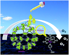 Graphical abstract: Formal water oxidation turnover frequencies from MIL-101(Cr) anchored Ru(bda) depend on oxidant concentration