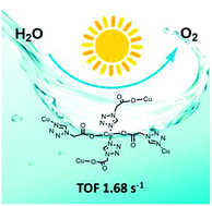 Graphical abstract: Cu(ii) coordination polymers with nitrogen catenation ligands for efficient photocatalytic water oxidation