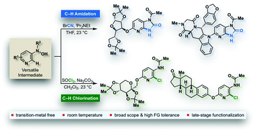 Graphical abstract: Transition-metal-free C–H amidation and chlorination: synthesis of N/N′-mono-substituted imidazopyridin-2-ones from N-pyridyl-N-hydroxylamine intermediates