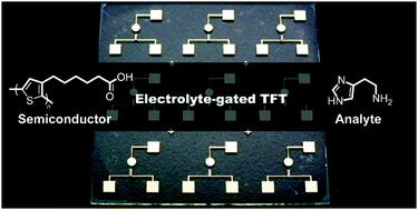 Graphical abstract: An electrolyte-gated polythiophene transistor for the detection of biogenic amines in water