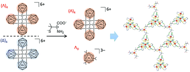 Graphical abstract: Two-step chiral transfer from d-penicillamine to metallosupramolecular ionic crystals