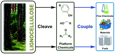 Graphical abstract: Cleave and couple: toward fully sustainable catalytic conversion of lignocellulose to value added building blocks and fuels