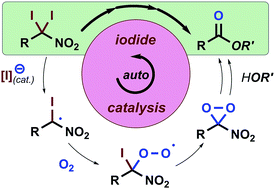 Graphical abstract: Autoinductive conversion of α,α-diiodonitroalkanes to amides and esters catalysed by iodine byproducts under O2