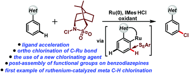 Graphical abstract: Ligand-promoted ruthenium-catalyzed meta C–H chlorination of arenes using N-chloro-2,10-camphorsultam